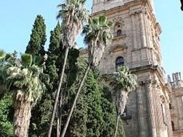 Catedral de Málaga en malaga